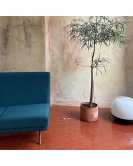 Sofa Triennale Marco Zanuso Sofa Triennale Marco Zanuso