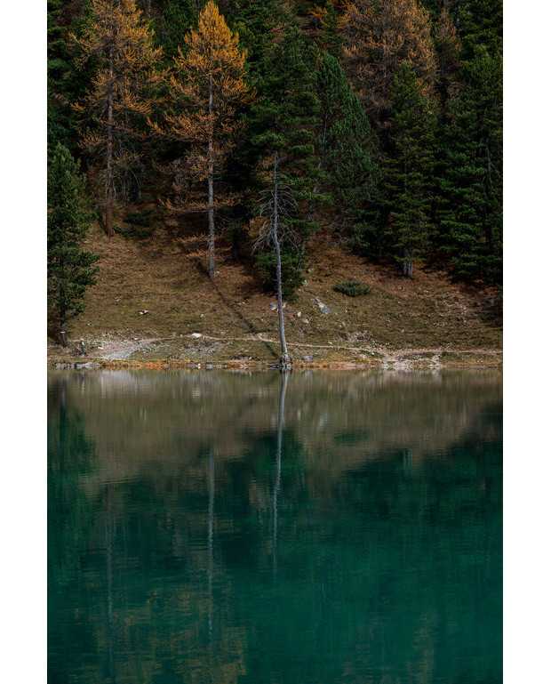 Photography Le lac de l'Orceylette