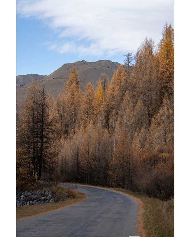 Photographie Route de la Vallée des Fonts