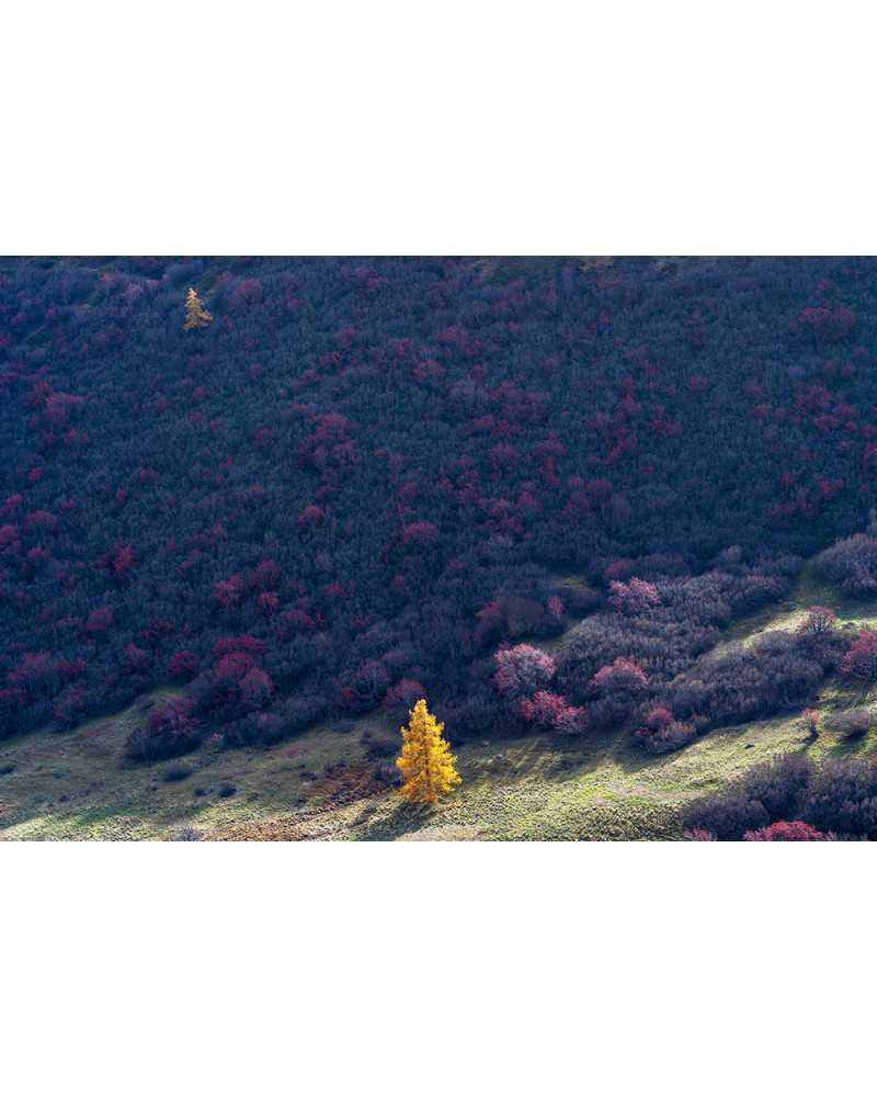 Photographie Le Lautaret Photographie Le Lautaret