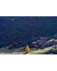 Photographie Le Lautaret Photographie Le Lautaret