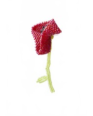 Big Poppy Ear Stick - Ura Utz - Poppy Big Poppy Ear Stick - Ura Utz - Poppy