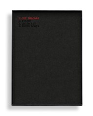 Steven Klein Private Collection - Idea