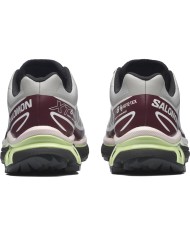 XT-6 Gtx - Salomon - Paloma / Maroon Banner XT-6 Gtx - Salomon - Paloma / Maroon Banner